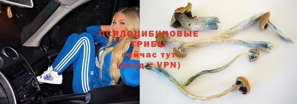 кокаин Каменск-Шахтинский