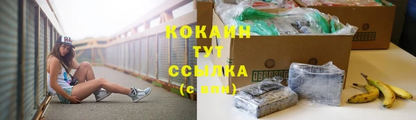дурь Каменногорск