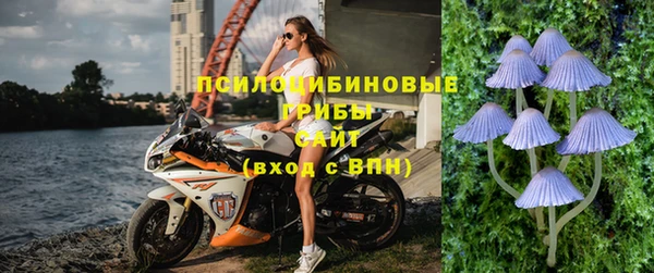 дурь Каменногорск