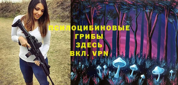 таблы Каменка