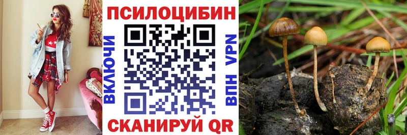 Псилоцибиновые грибы ЛСД  Купить  Островной 